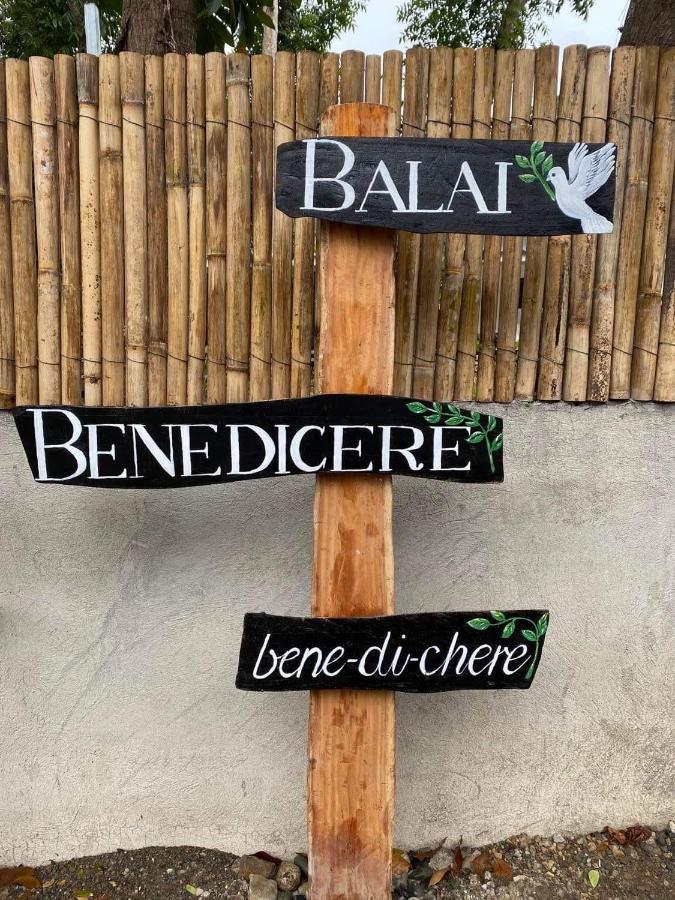 Balai Benedicere Bed & Breakfast Bacnotan Екстериор снимка